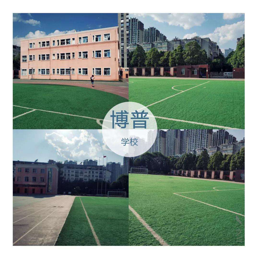 1597368134281636.jpg 2.jpg